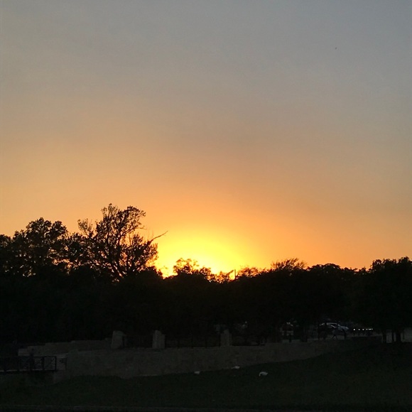 Meet your Posher, Iris - Picture 1 of 1